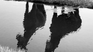 Reflectie van paarden in sloot