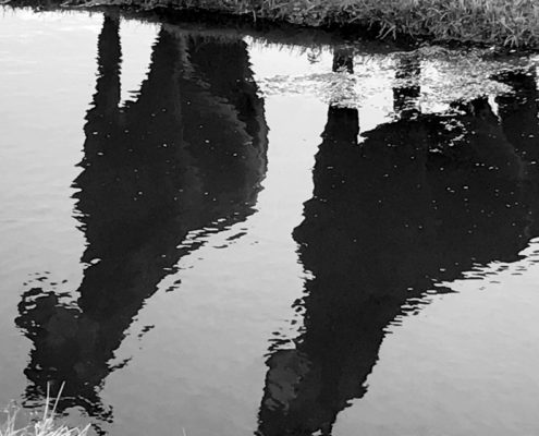 Reflectie van paarden in sloot