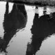 Reflectie van paarden in sloot