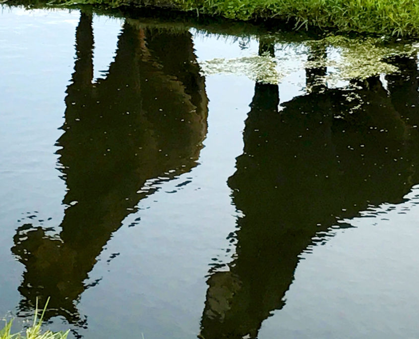 Reflectie van paarden in sloot